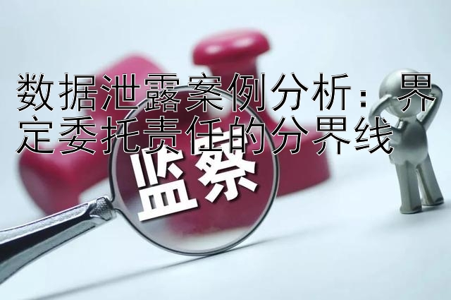 数据泄露案例分析：界定委托责任的分界线