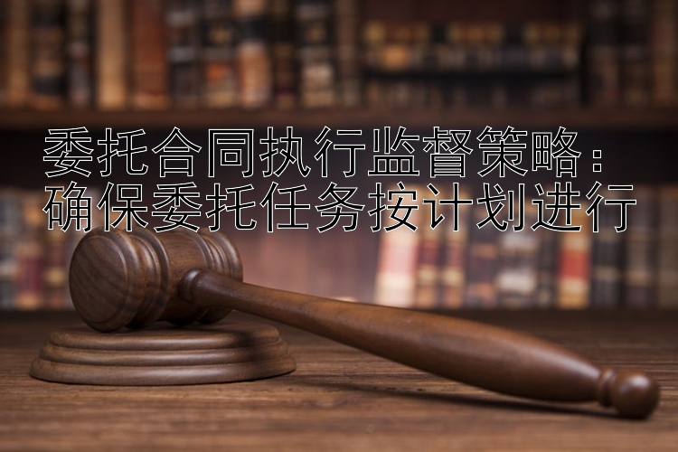 委托合同执行监督策略：确保委托任务按计划进行