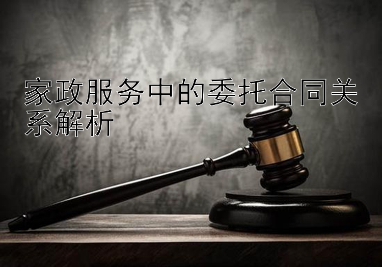 家政服务中的委托合同关系解析