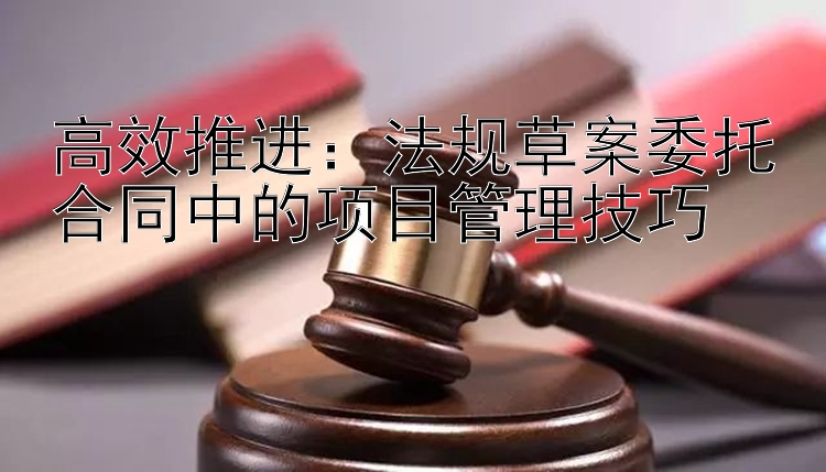 高效推进：法规草案委托合同中的项目管理技巧