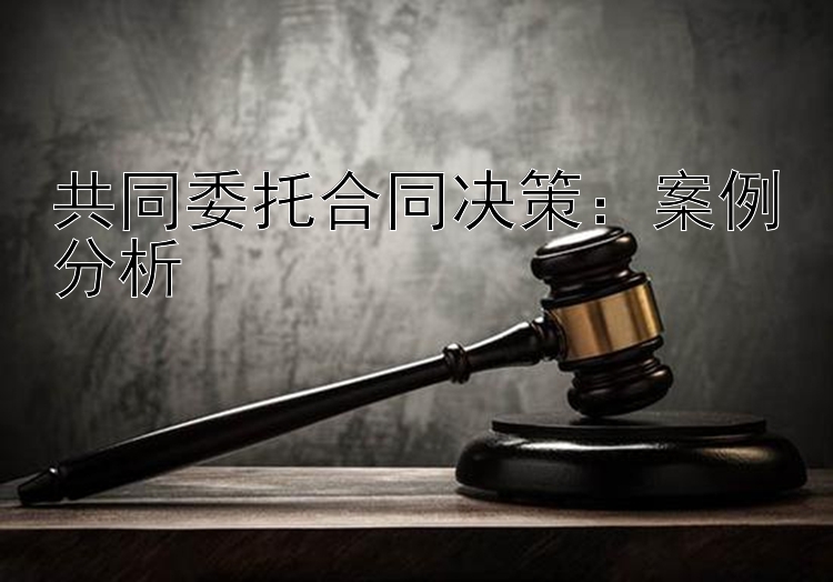 共同委托合同决策：案例分析