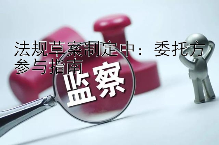 法规草案制定中：委托方参与指南