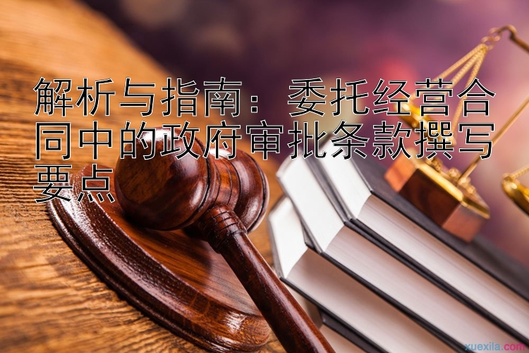 解析与指南：委托经营合同中的政府审批条款撰写要点