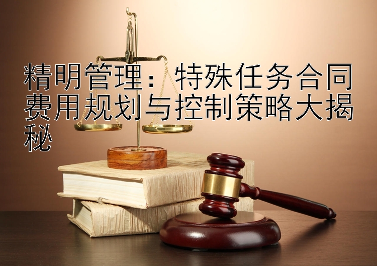 精明管理：特殊任务合同费用规划与控制策略大揭秘