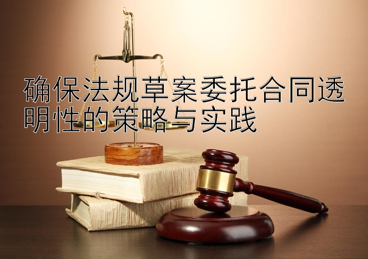 确保法规草案委托合同透明性的策略与实践