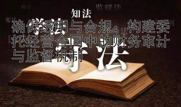 确保透明与合规：构建委托经营合同中的财务审计与监督机制