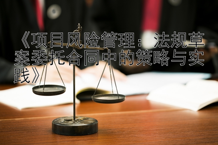 《项目风险管理：法规草案委托合同中的策略与实践》