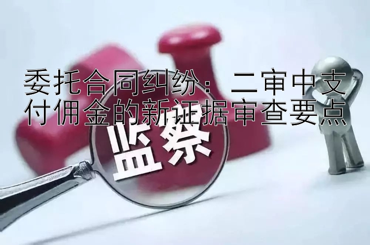 委托合同纠纷：二审中支付佣金的新证据审查要点